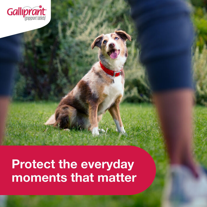 15144 product detail number 1.0