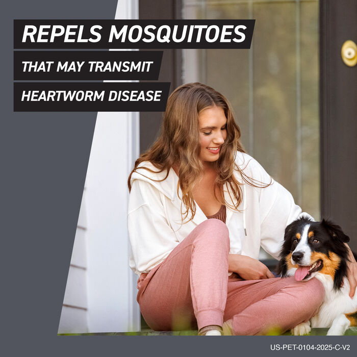 12731 product detail number 1.0