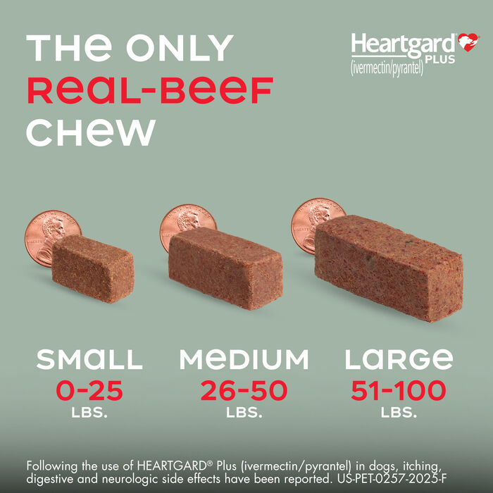 10002 product detail number 1.0