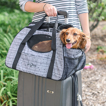 Gen7Pets Carry-Me Pet Carrier