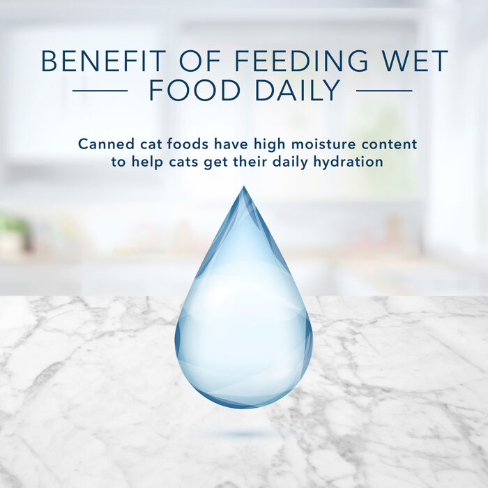 66923 product detail number 1.0