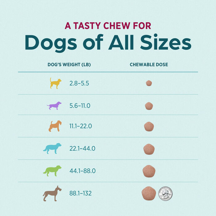 13399 product detail number 1.0