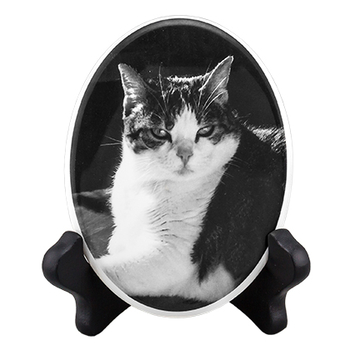 Pet Photo Porcelain Oval Collectible-product-tile