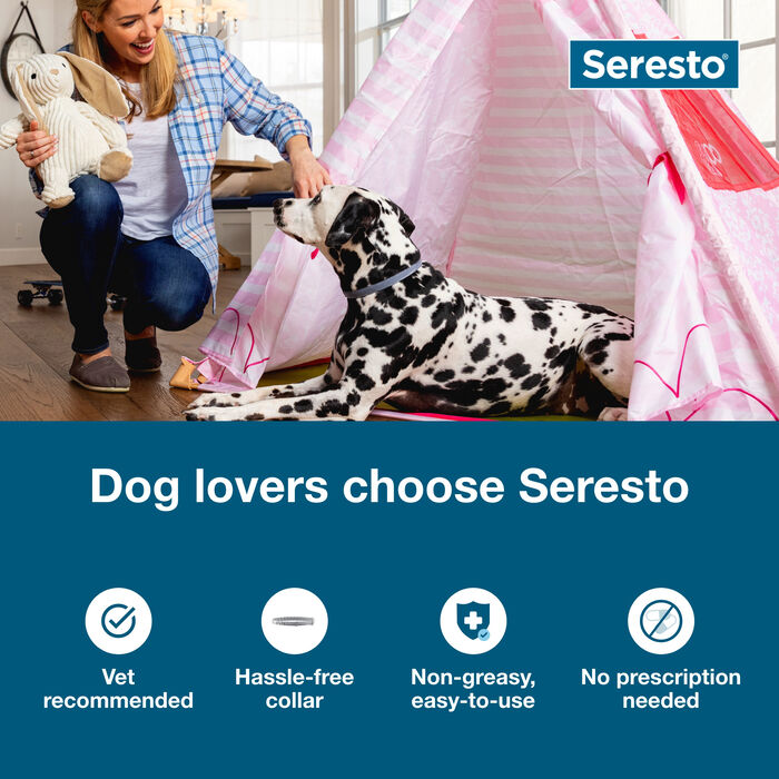 Bundle: Seresto + Interceptor Plus - Flea, Tick, & Heartworm Prevention Bundle for Dogs product detail number 1.0