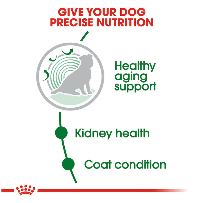 67796 product detail number 1.0