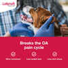 Bundle: Galliprant + Greenies - Joint Health Bundle for Dogs