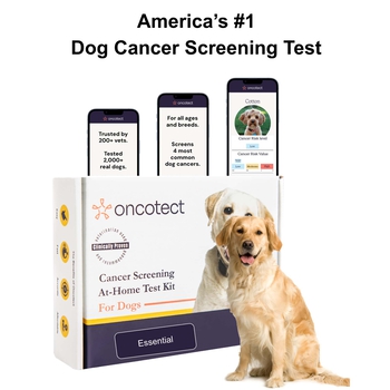 Oncotect At-Home Cancer Screening Test Kit for Dogs - Essential Test Kit-product-tile