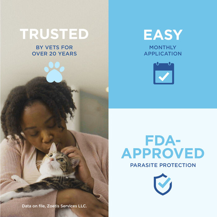 10365 product detail number 1.0