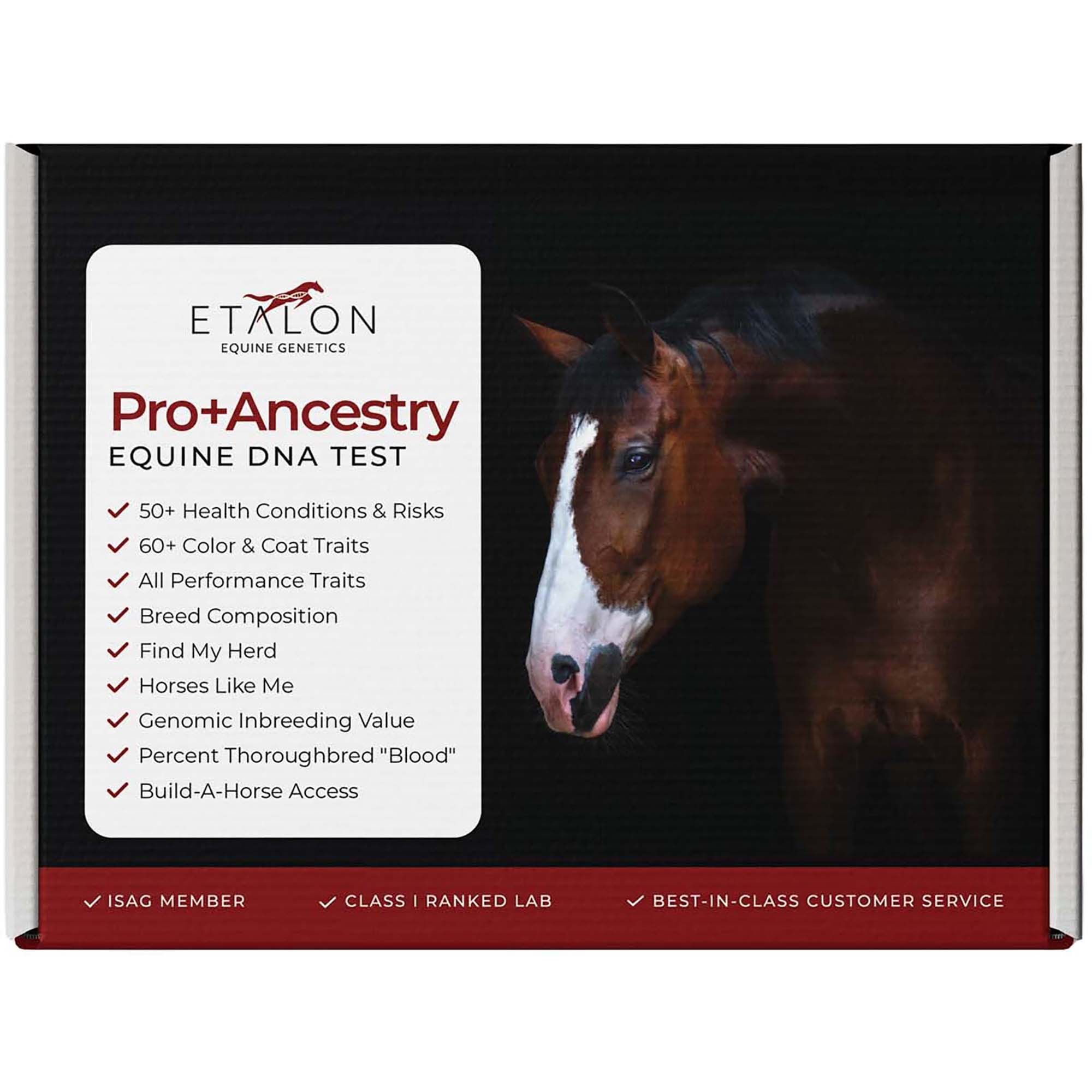 Etalon Equine Genetics Pro Package + Ancestry Bundle - Test Kit product detail number 1.0