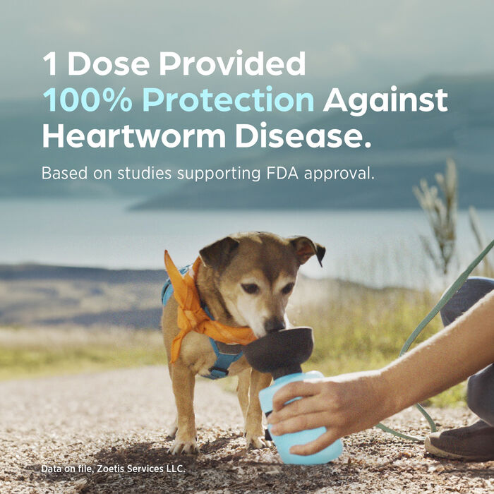 13399 product detail number 1.0