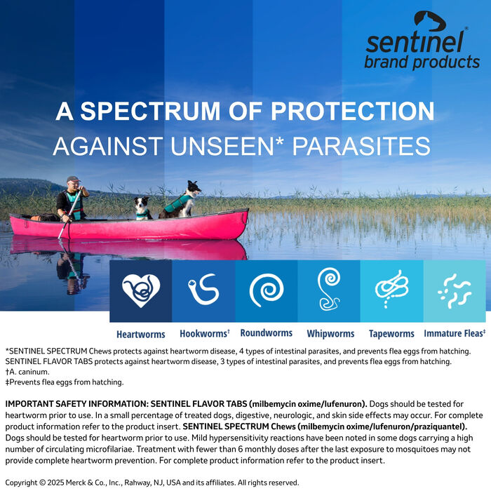 10118 product detail number 1.0