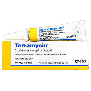 Terramycin Ophthalmic Ointment 3.5 gm Tube-product-tile