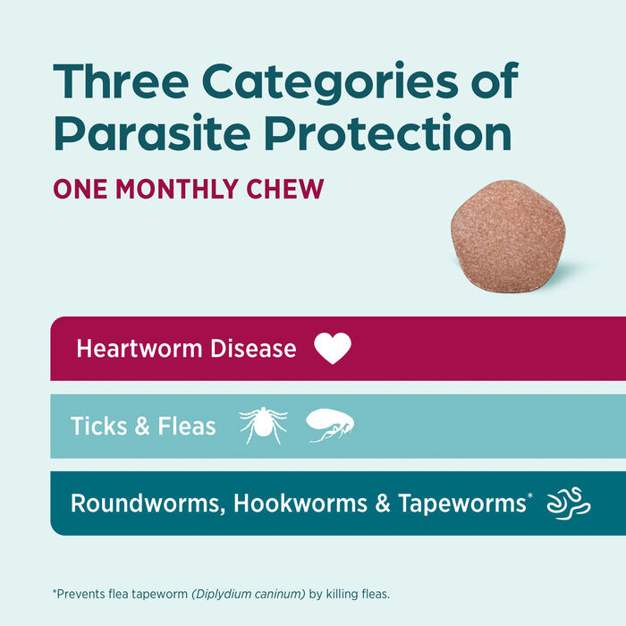 13399 product detail number 1.0