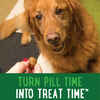 Bundle: Novox + Greenies - Bone & Joint Pain Relief Bundle for Dogs
