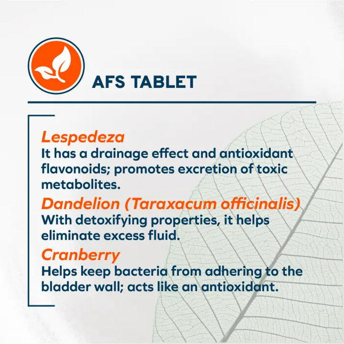 61094 product detail number 1.0