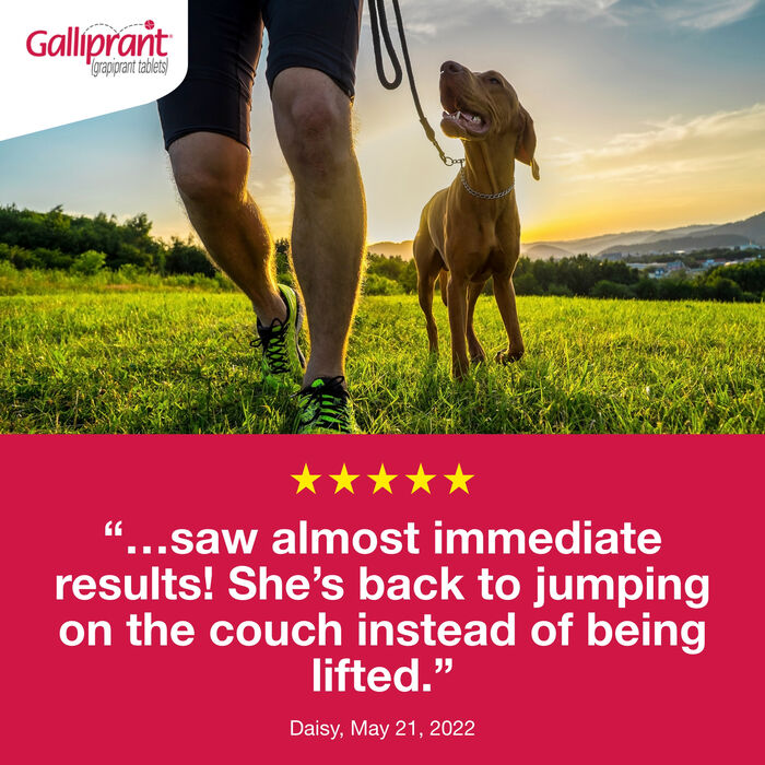 15144 product detail number 1.0