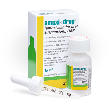 Amoxicillin Drops 50mg/ml 15 ml Bottle-product-tile
