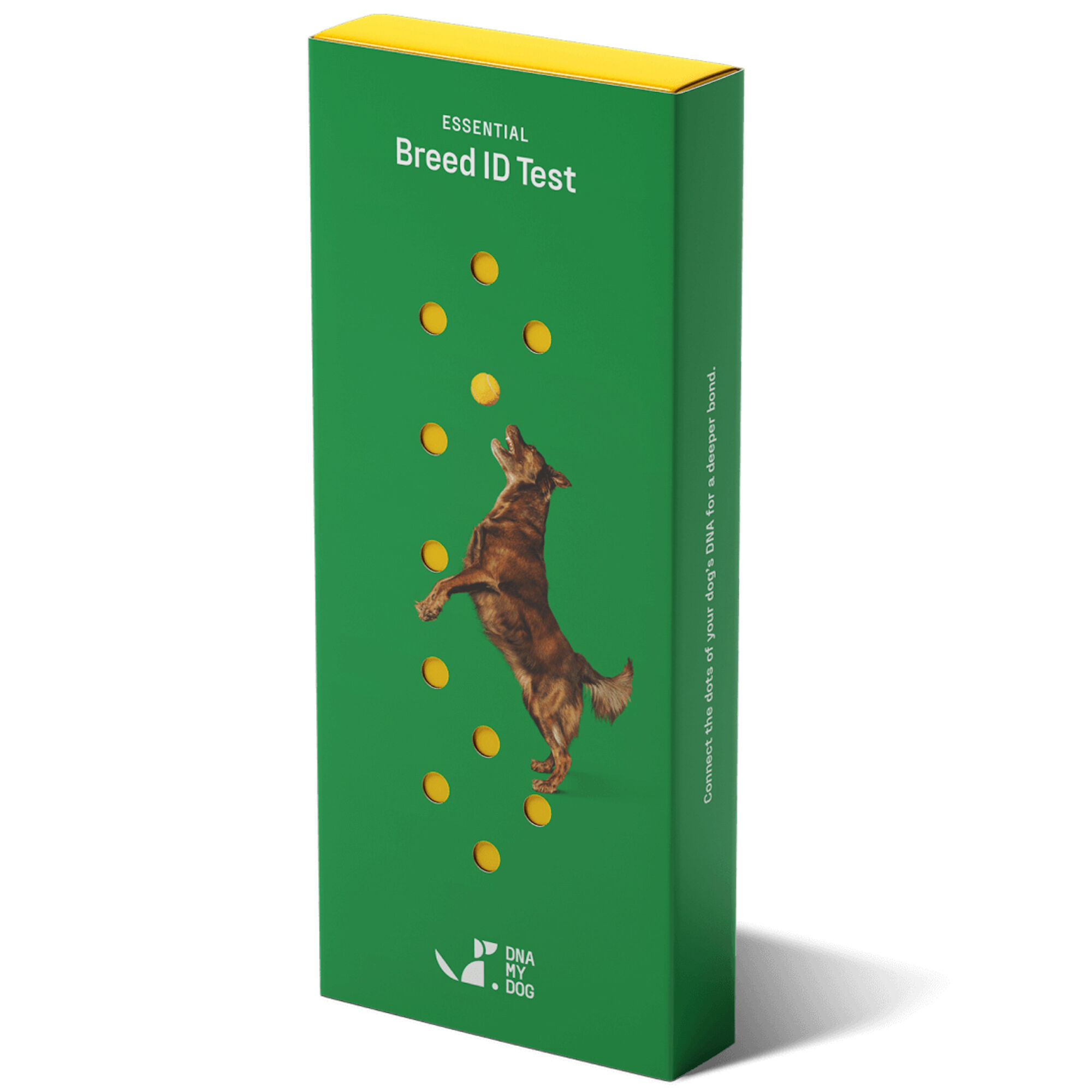 DNA My Dog Essential Breed ID Test product detail number 1.0