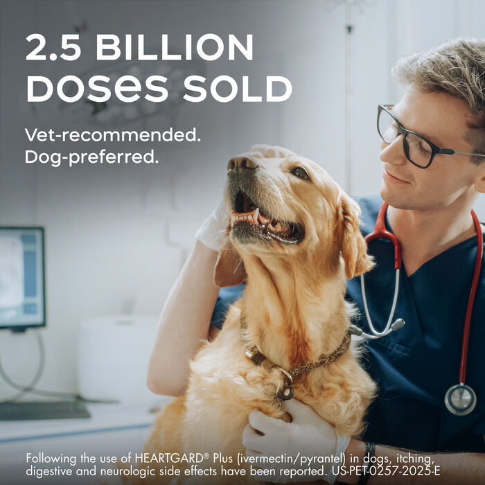 10002 product detail number 1.0