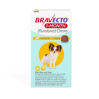 Bravecto 1-Month Chews Toy Dog (4.4-9.9 lbs) 1 pk-product-tile