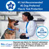 Bundle: Nexgard + Heartgard Plus - Flea, Tick, & Heartworm Prevention Bundle for Dogs