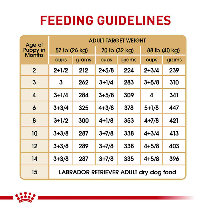 66691 product detail number 1.0