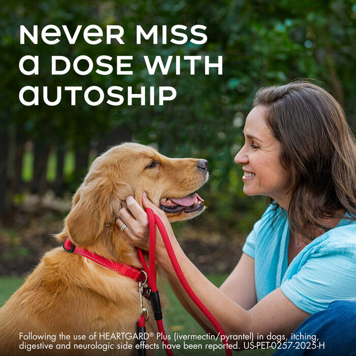 10002 product detail number 1.0