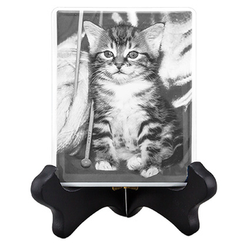 Pet Photo Porcelain Rectangular Collectible-product-tile