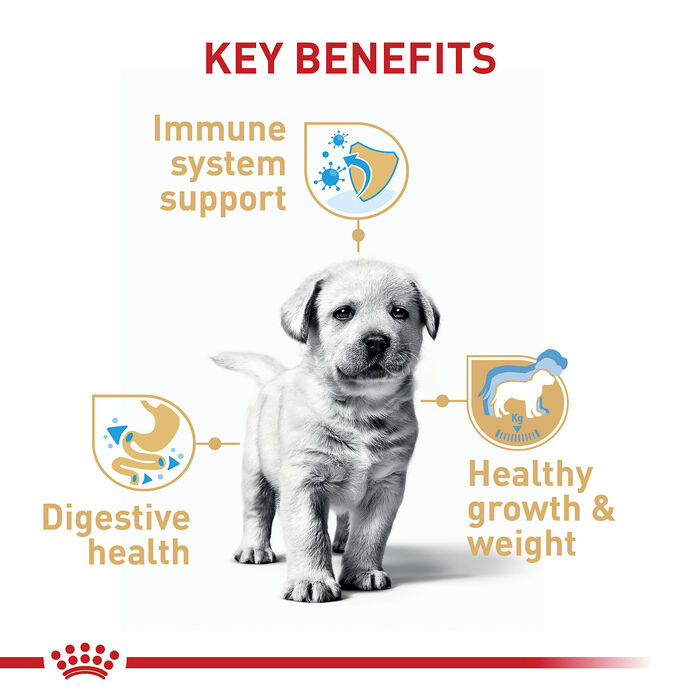 66691 product detail number 1.0