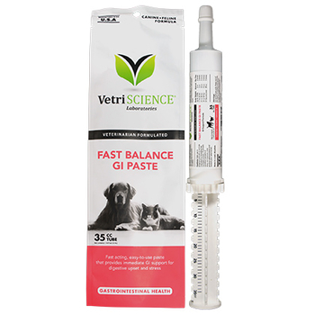 Fast Balance GI Paste 35 cc Tube-product-tile