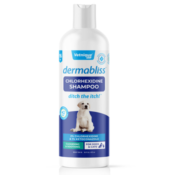 Dermabliss Chlorhexidine Shampoo - 16 oz Bottle-product-tile
