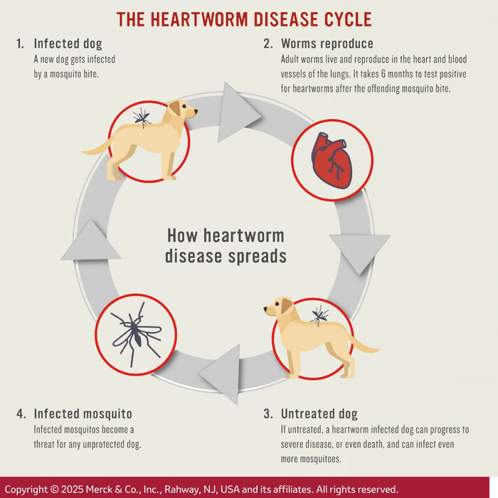 10411 product detail number 1.0