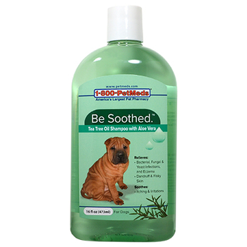 Be Soothed Shampoo w/ Aloe & Tea Tree Oil 16 oz-product-tile