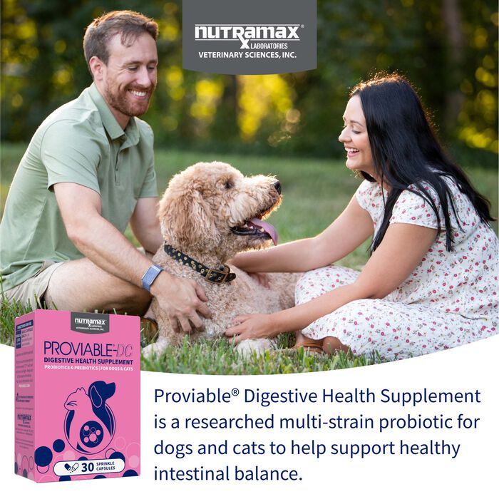 Bundle: Nutramax + Super Pure Omega-3 -  Digestive & Skin Support Bundle for Dogs and Cats product detail number 1.0