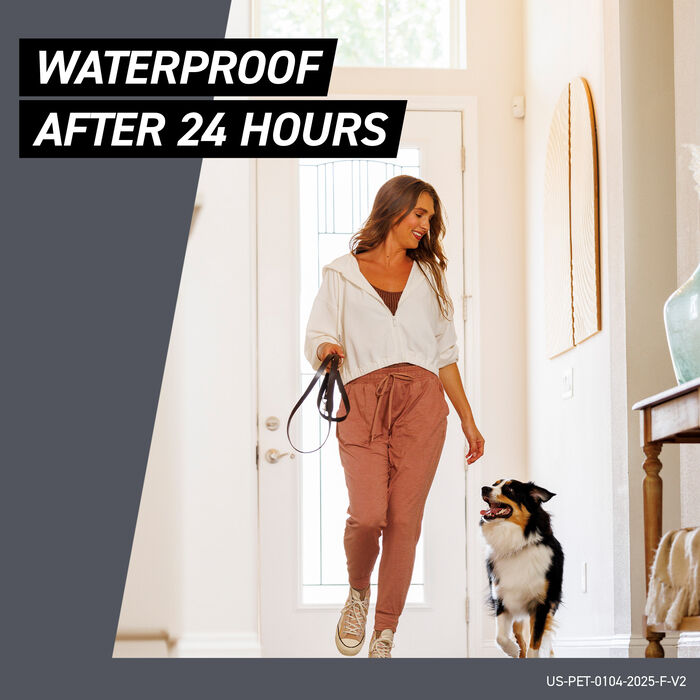 12731 product detail number 1.0