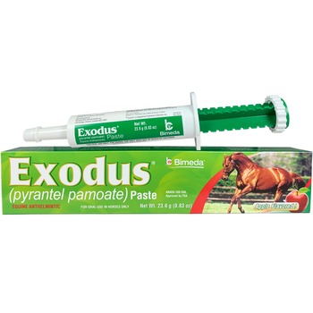 Exodus Paste 23.6 gm 1 ct-product-tile