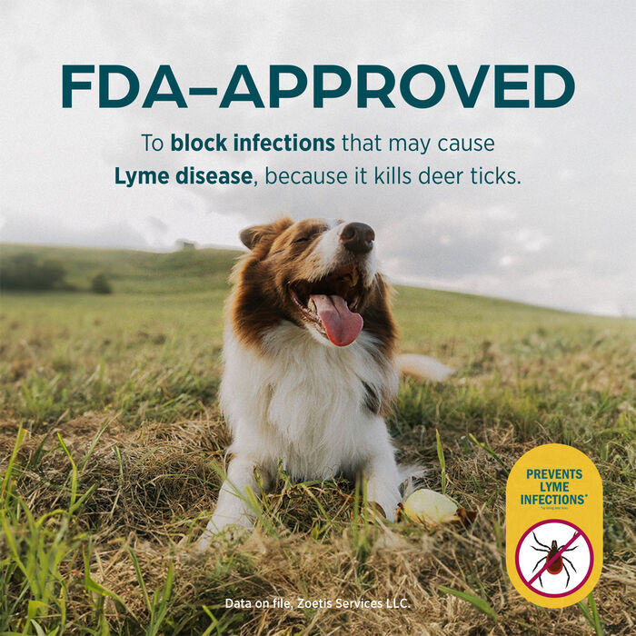 11716 product detail number 1.0