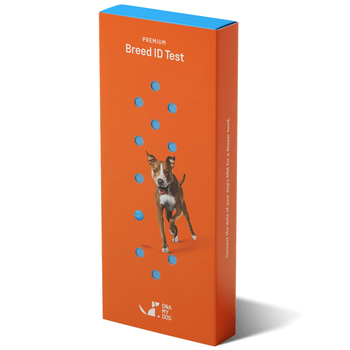 DNA My Dog Premium Breed ID Test-product-tile
