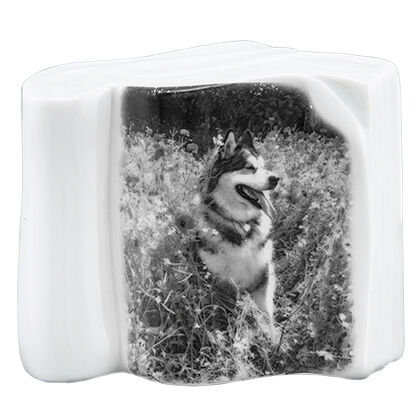 Pet Photo Porcelain Stand Up Collectible Book - B&W product detail number 1.0