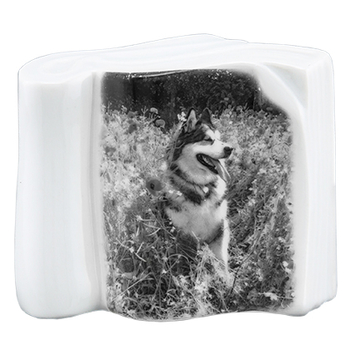 Pet Photo Porcelain Stand Up Collectible-product-tile