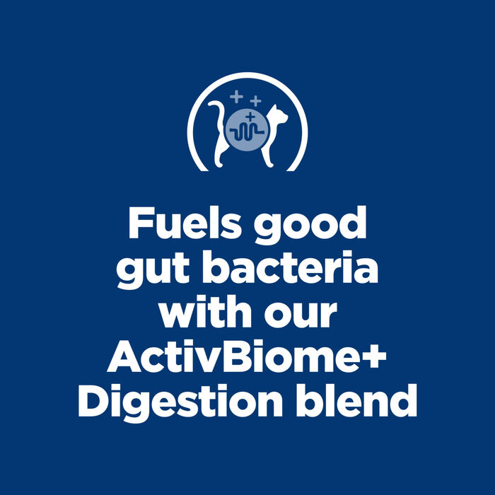 13848 product detail number 1.0