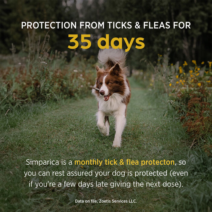 11716 product detail number 1.0