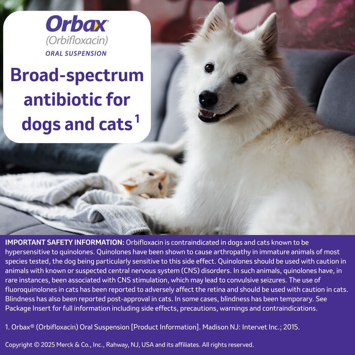 12045 product detail number 1.0