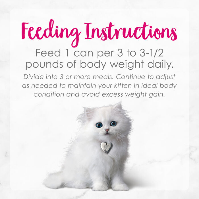 63201 product detail number 1.0