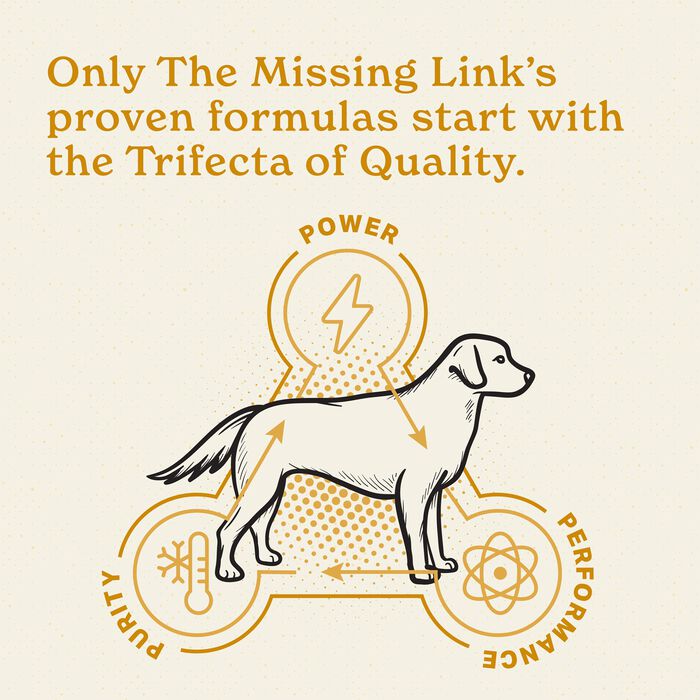 Bundle: Apoquel + The Missing Link - Skin, Coat, & Allergy Relief Bundle for Dogs product detail number 1.0