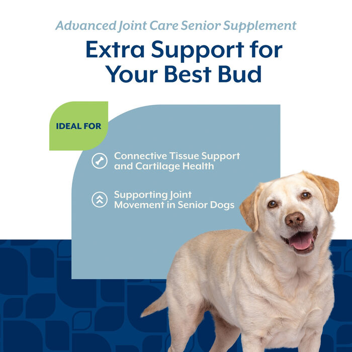 62919 product detail number 1.0