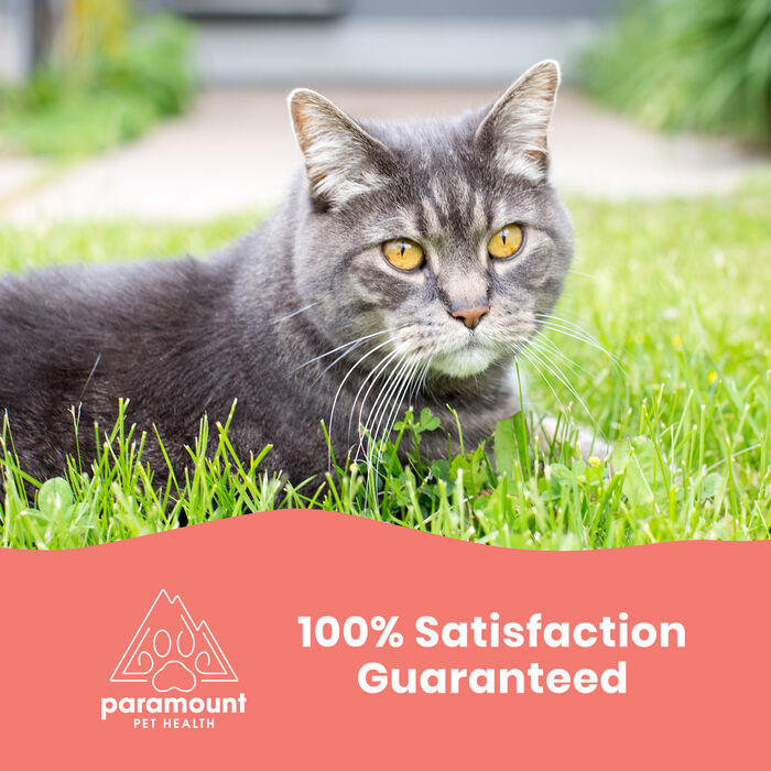 14295 product detail number 1.0