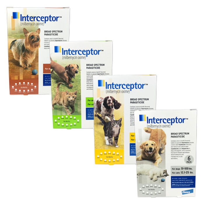 Bundle: Cheristin + Interceptor - Flea & Heartworm Prevention Bundle for Cats product detail number 1.0