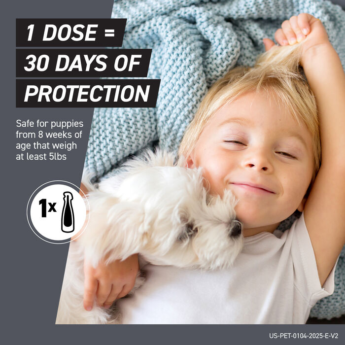 12731 product detail number 1.0