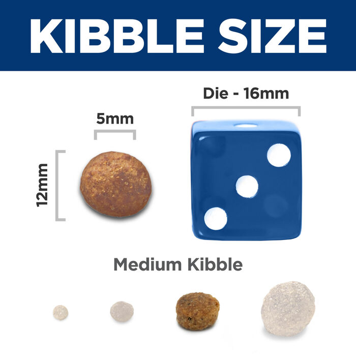 13879 product detail number 1.0